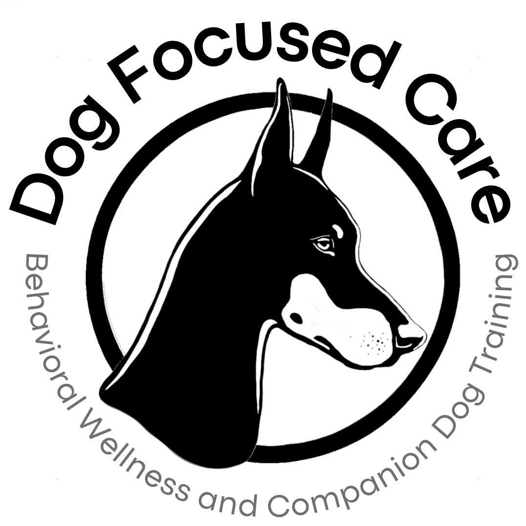Dog Focused Care
